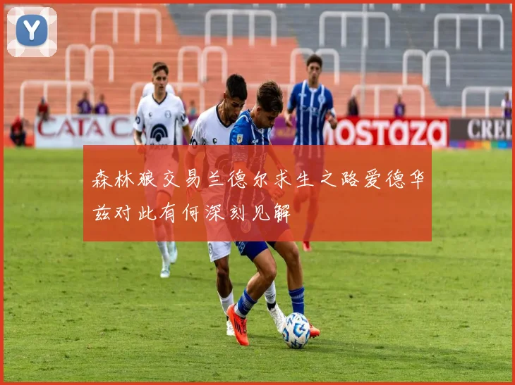 森林狼交易兰德尔求生之路爱德华兹对此有何深刻见解