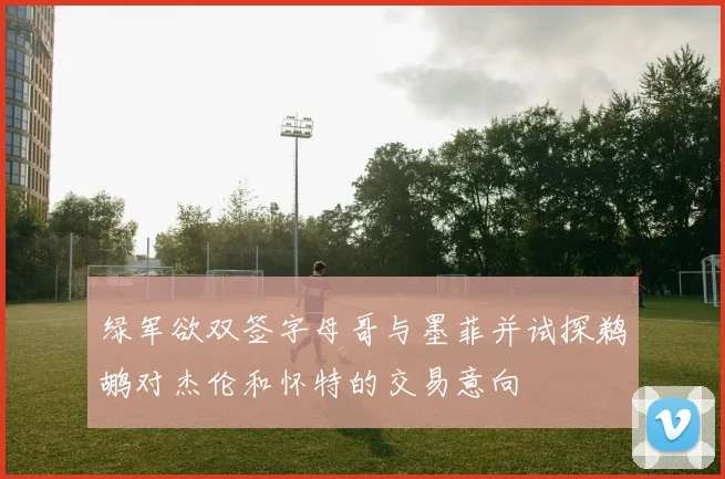 绿军欲双签字母哥与墨菲并试探鹈鹕对杰伦和怀特的交易意向
