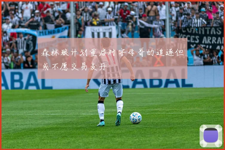 森林狼计划重启对字母哥的追逐但或不愿交易麦丹